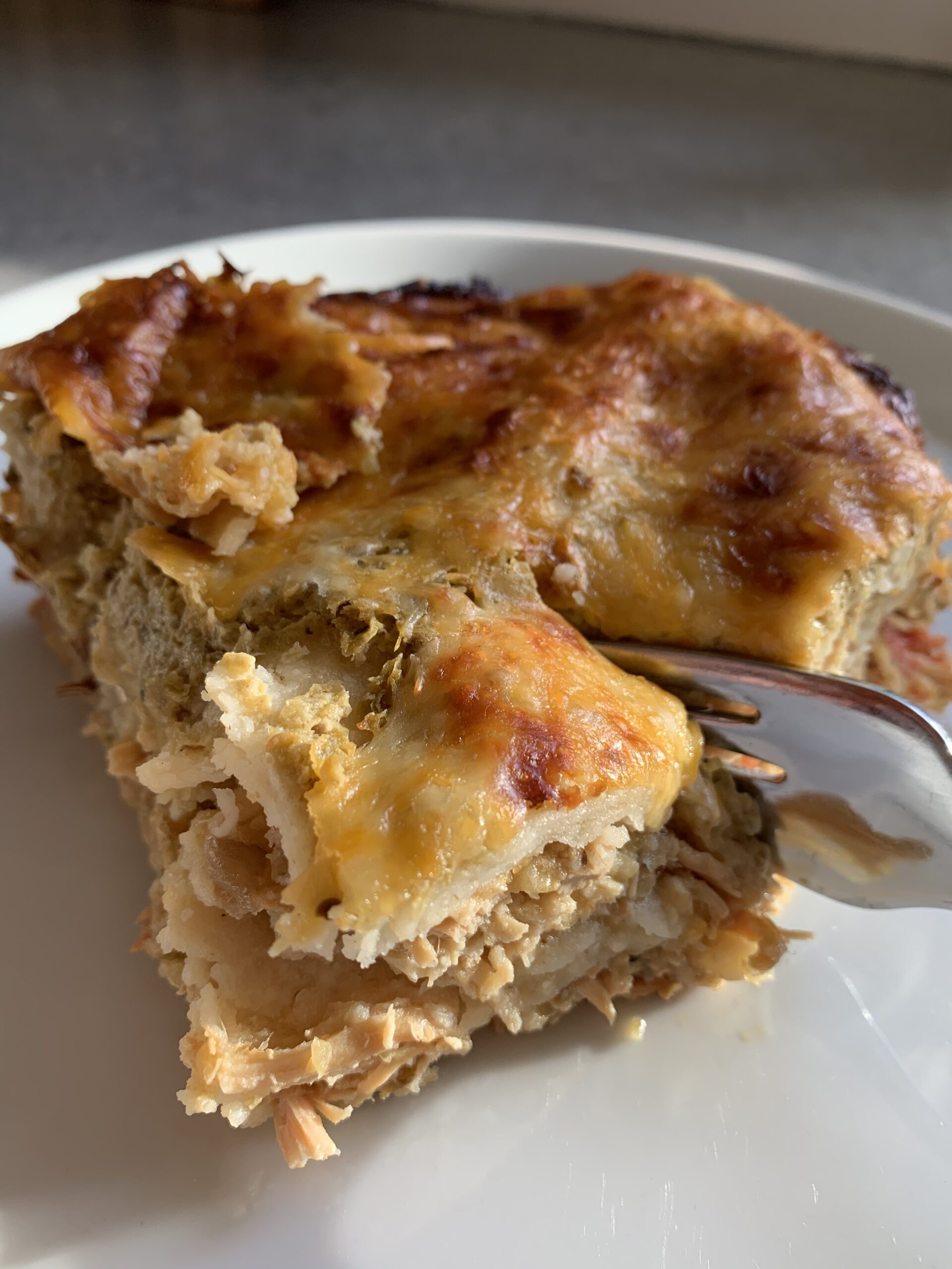 Easy Zesty Chicken Enchiladas
